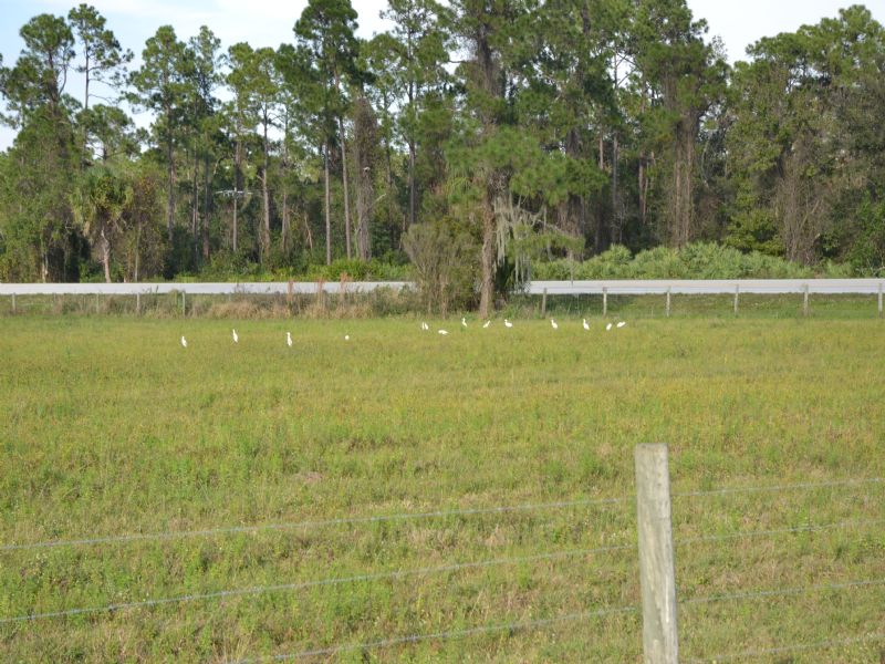 Fort Drum 107, Farm for Sale in Florida, 70759 FARMFLIP