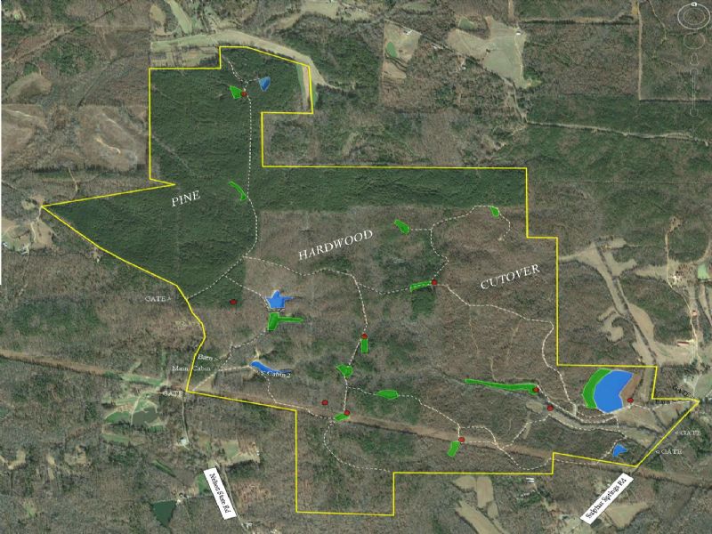 875 Acres Timber, Deer & Turkey : Selmer : McNairy County : Tennessee