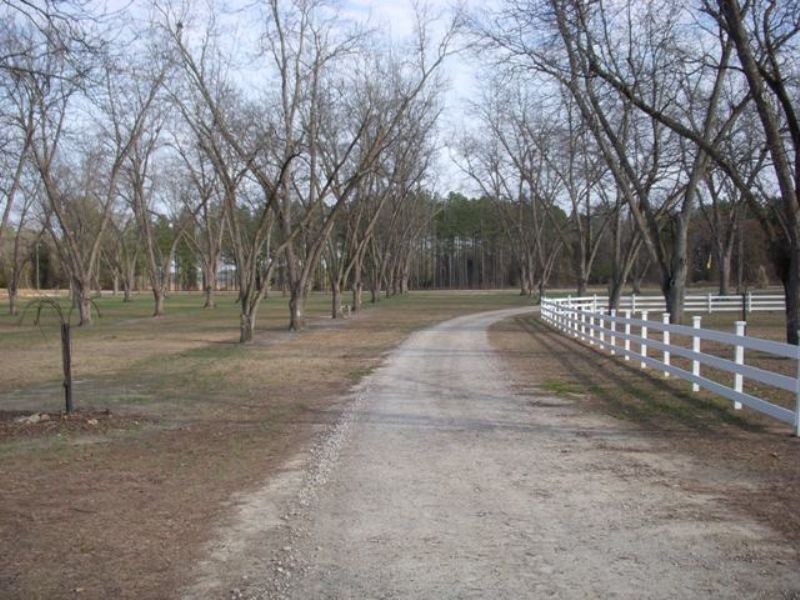 Hereford Farm : Davisboro : Washington County : Georgia