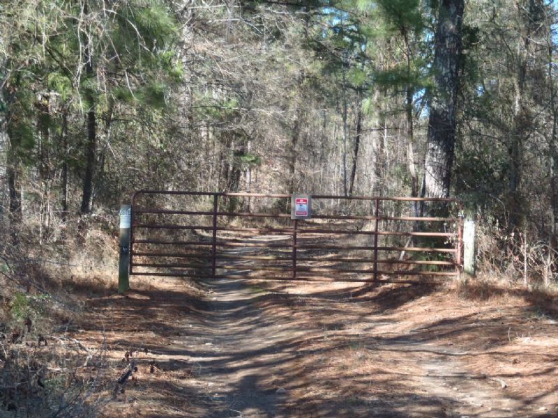 Whitaker Tract 2 : Greensboro : Greene County : Georgia
