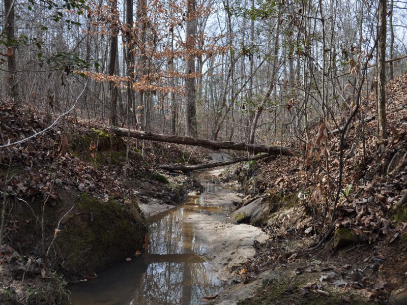 Oak Branch : Elberton : Elbert County : Georgia