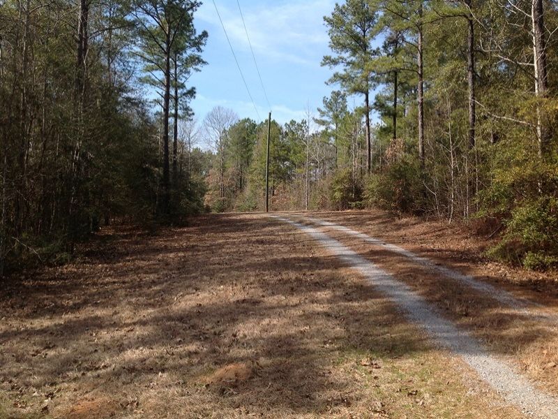 Quail Course Tract : Valley Grande : Dallas County : Alabama