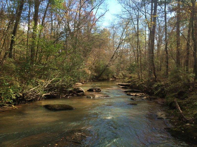 Walnut Creek Timberlands : Gray : Jones County : Georgia
