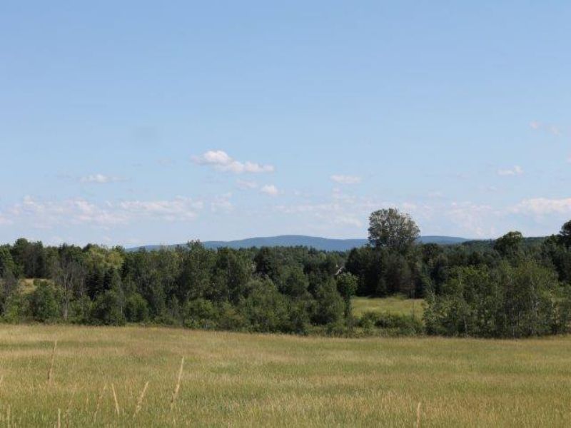 27 Acres Build Home Hunting Cabin : Charleston : Montgomery County : New York