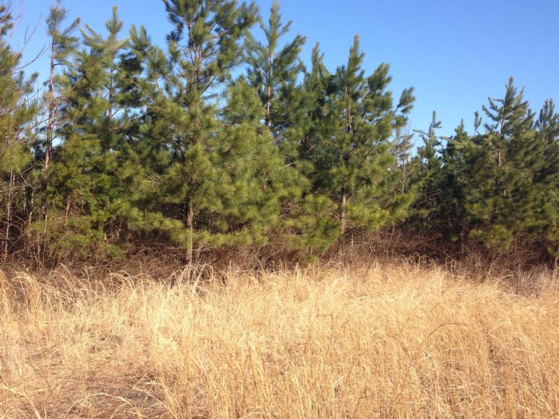 47 Acre Timberland Tract : Cumberland : Cumberland County : Virginia