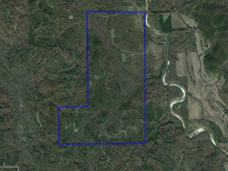 Cedar Creek Tract : Forest Home : Wilcox County : Alabama