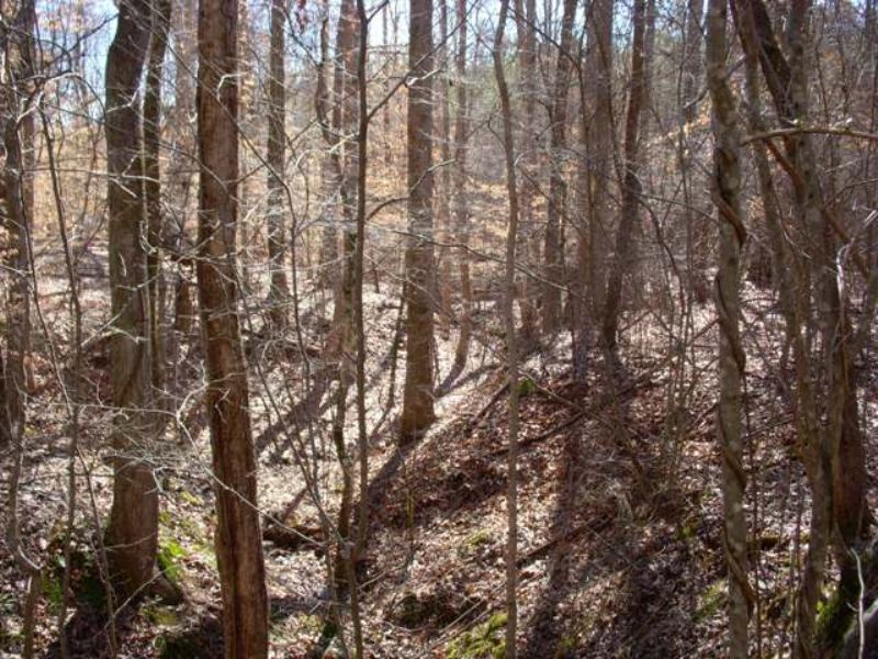 Lee Point : Hogansville : Troup County : Georgia
