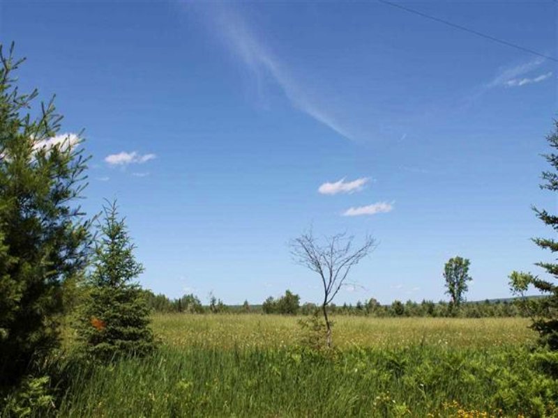 Tbd 1 and 1/2 Mile Rd, Mls 1077815 : Duncan : Ontonagon County : Michigan