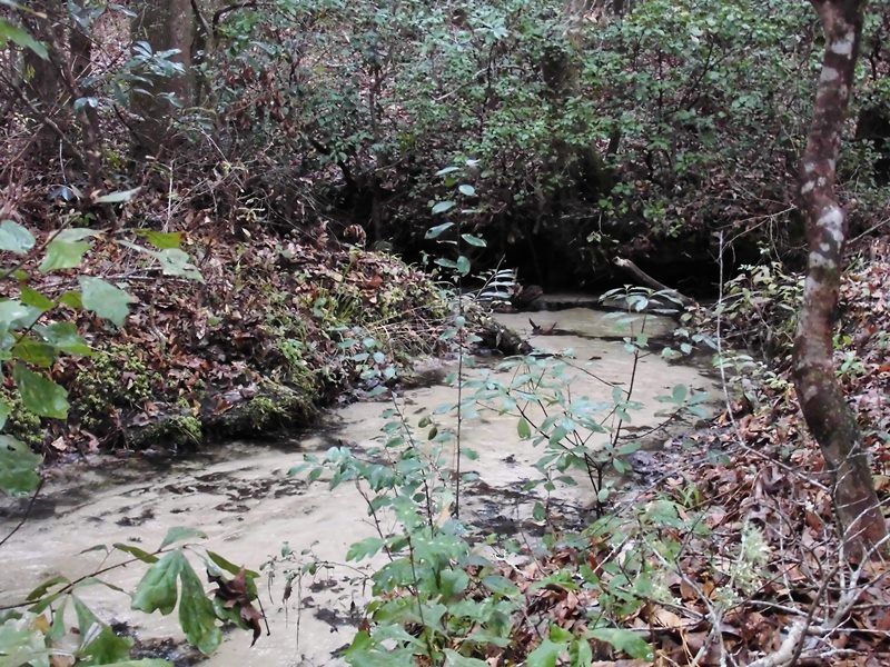 Hardaway Branch : Gretna : Gadsden County : Florida
