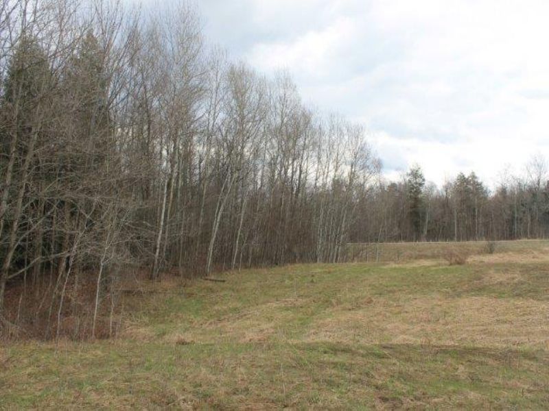 15 Acres Near Utica Adirondack Park : Schuyler : Herkimer County : New York