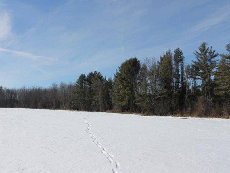 115 Acres With : Oppenheim : Fulton County : New York