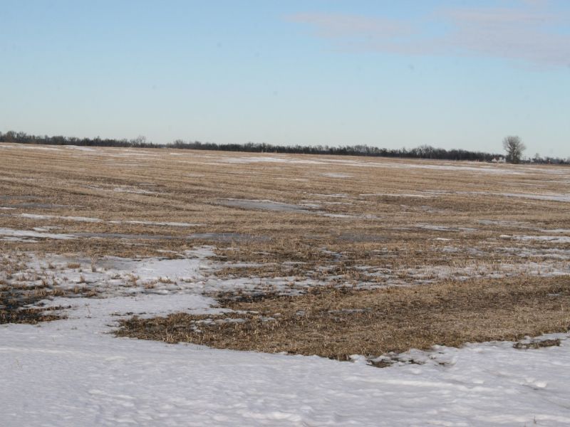 160 Acres Farm Land, Farm Auction in South Dakota, 71738 FARMFLIP