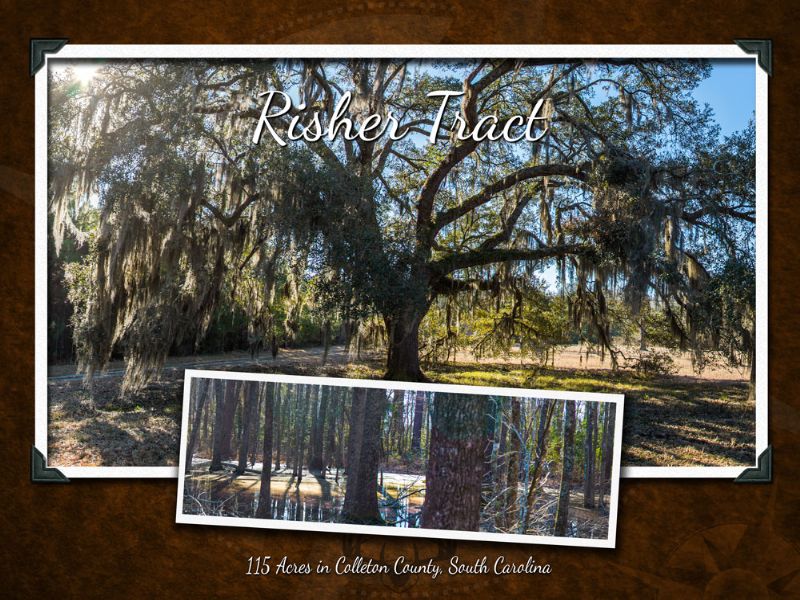Risher Tract : Jacksonboro : Colleton County : South Carolina