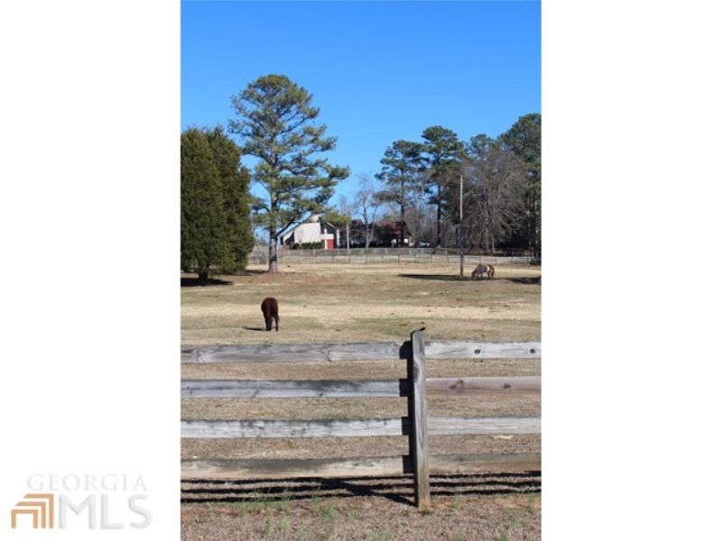 Horse Lovers Dream : Covington : Walton County : Georgia