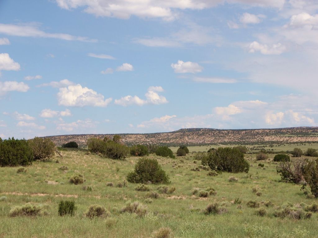 Az 37 Acre Self Sufficiency Ranch : Sanders : Apache County : Arizona