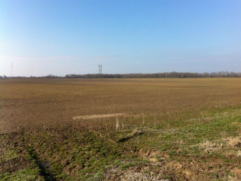 299 Acre Duck and Rice Farm : Brinkley : Monroe County : Arkansas