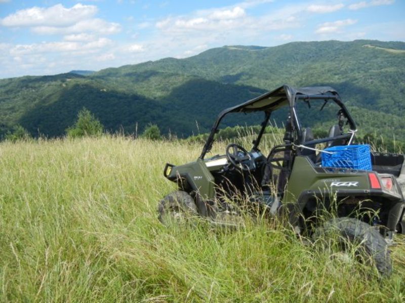 Large Tract in Blueridge Mountains : Independence : Grayson County : Virginia