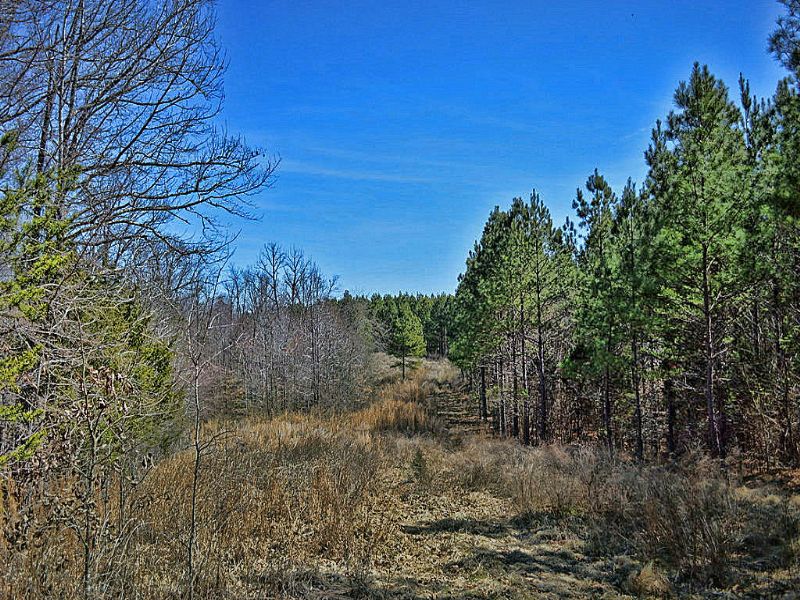 114 Acre Recreational Tract : Gaffney : Cherokee County : South Carolina