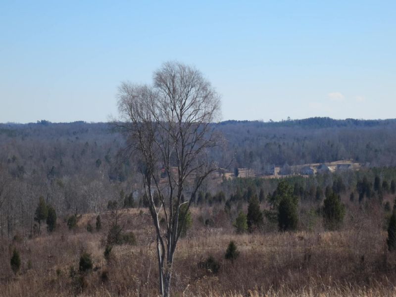 Hickory Tavern Acreage, Farm for Sale in South Carolina, 72529 FARMFLIP