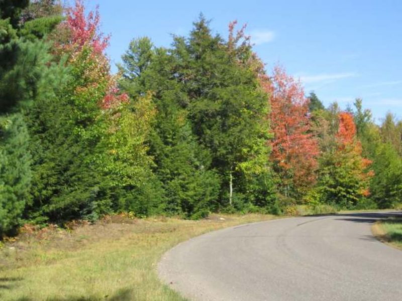 Acreage On Wallace Rd in Mercer : Mercer : Iron County : Wisconsin