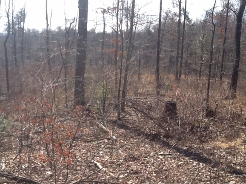 Wooded Vacant Land for Sale, Farm for Sale by Owner in Pennsylvania, 72660 FARMFLIP