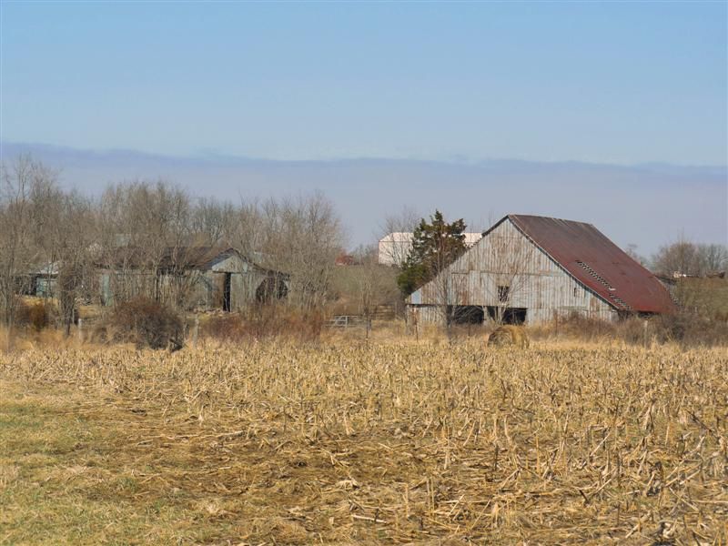 Zidlicky 44, Farm for Sale in Kentucky, 72734 FARMFLIP