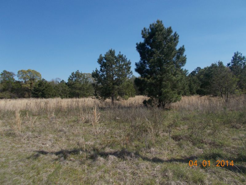 I-16 Metter Opportunity : Metter : Candler County : Georgia