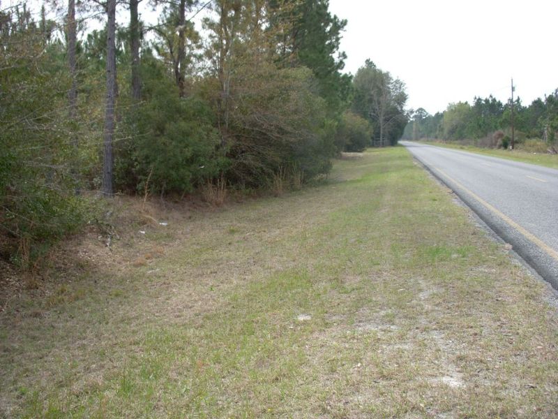Flowers Farm Tract 1a : Jesup : Wayne County : Georgia