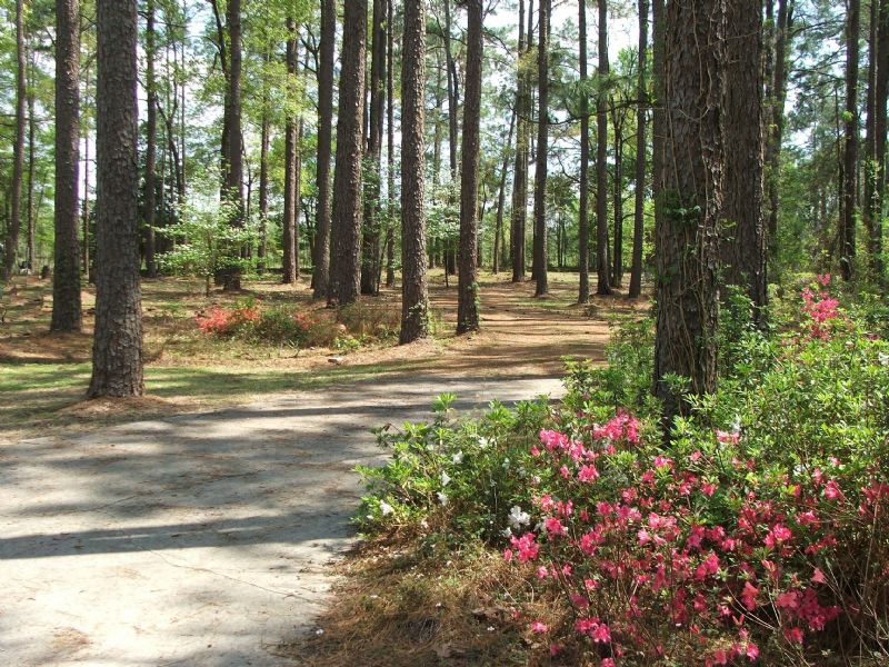 Boykin Place, Farm for Sale in 73075 FARMFLIP