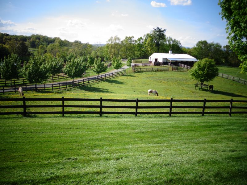 Horse Farm Staunton Va for Sale : Staunton : Augusta County : Virginia