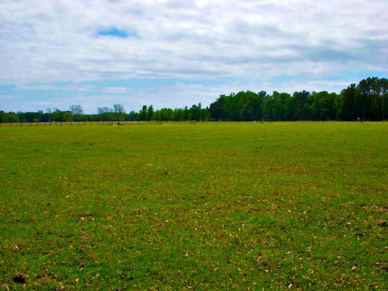 Lanes Creek Farm : Brooklet : Bulloch County : Georgia
