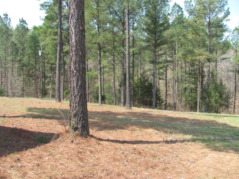 51 Acres : Union : Union County : South Carolina