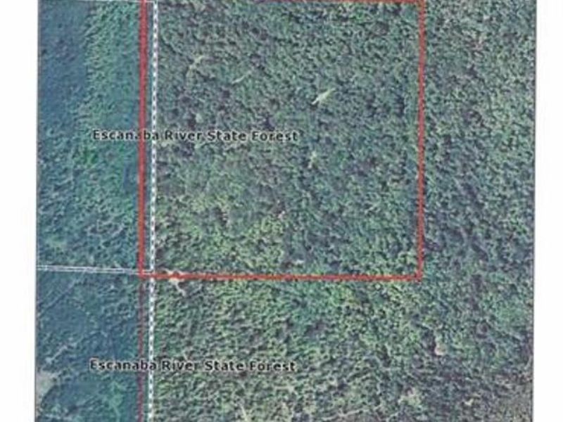 Tbd Woods Road : Ishpeming : Marquette County : Michigan