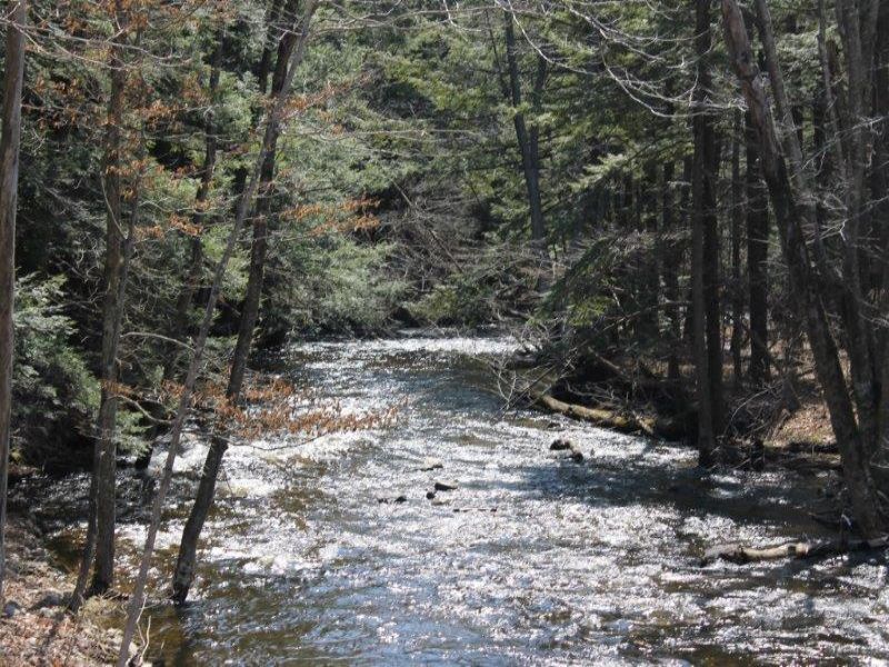 50 Acres in Adirondack Foothills : Oppenheim : Fulton County : New York