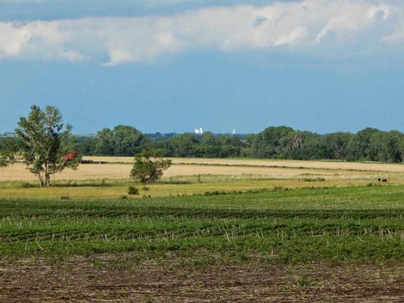 25 Acres with Home : Hillsboro : Marion County : Kansas