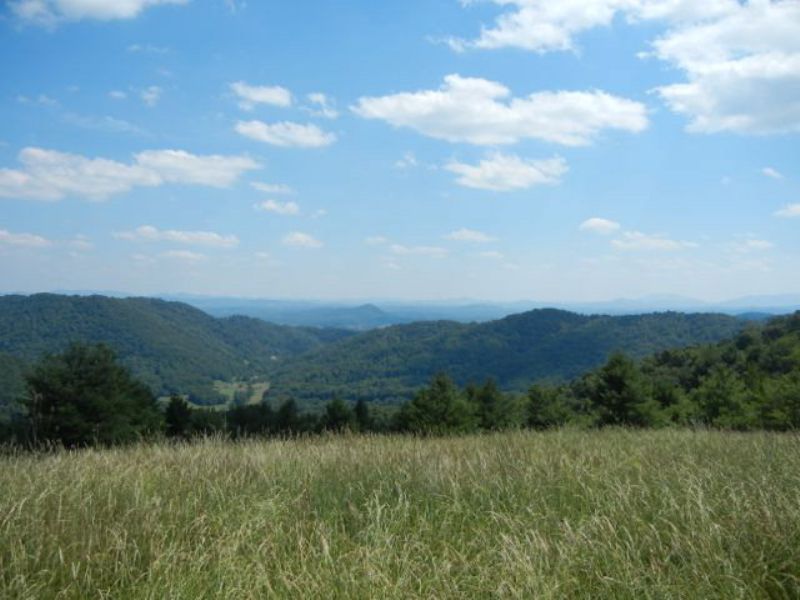 Mountain Top Land W/great Views : Independence : Grayson County : Virginia