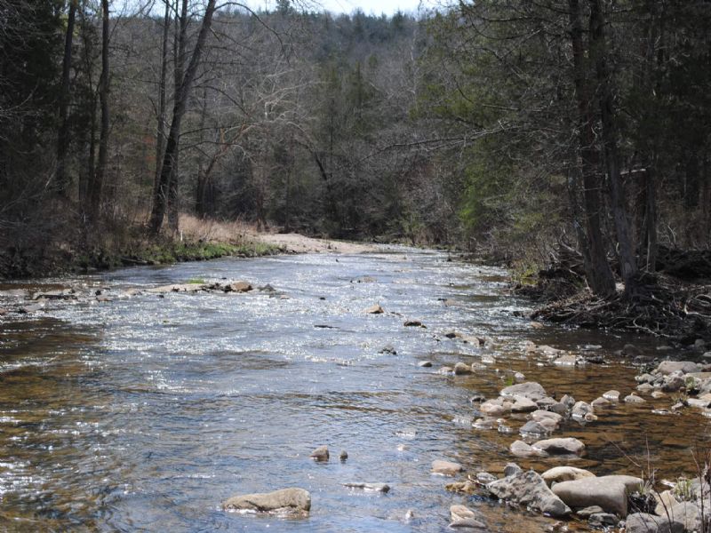Large Acreage On Livingston Creek : Mountain View : Stone County : Arkansas
