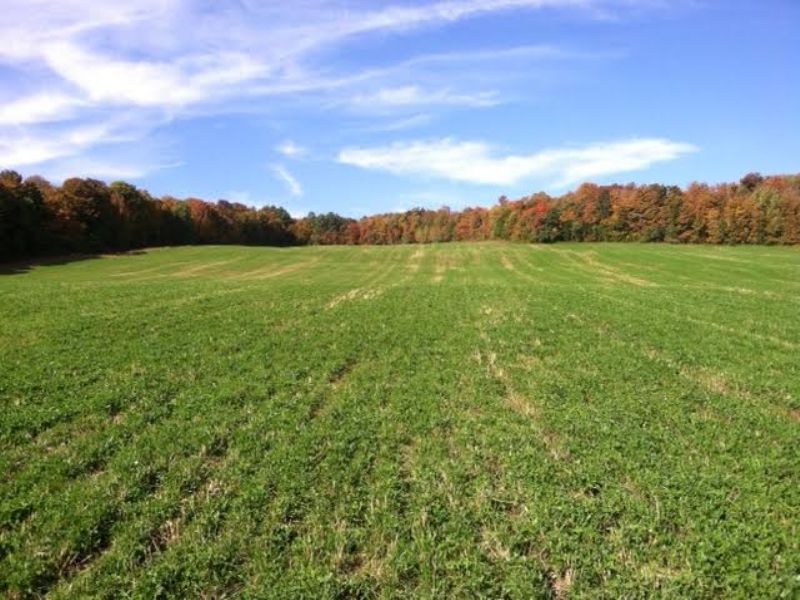 27+ Acres Bordering State Forest : Deruyter : Madison County : New York