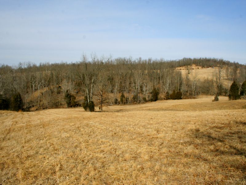 165 Acres Timber and Tillable, Farm for Sale in Kentucky, 73642 FARMFLIP