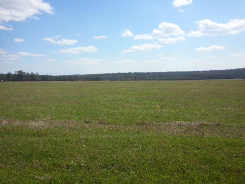 479.32 Acres : Perry : Peach County : Georgia
