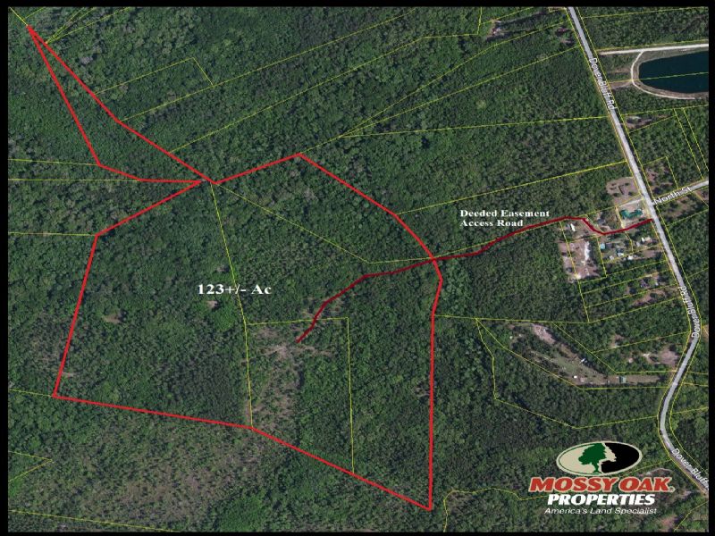 122+/- Acres Estate Owned Land : Waverly : Camden County : Georgia
