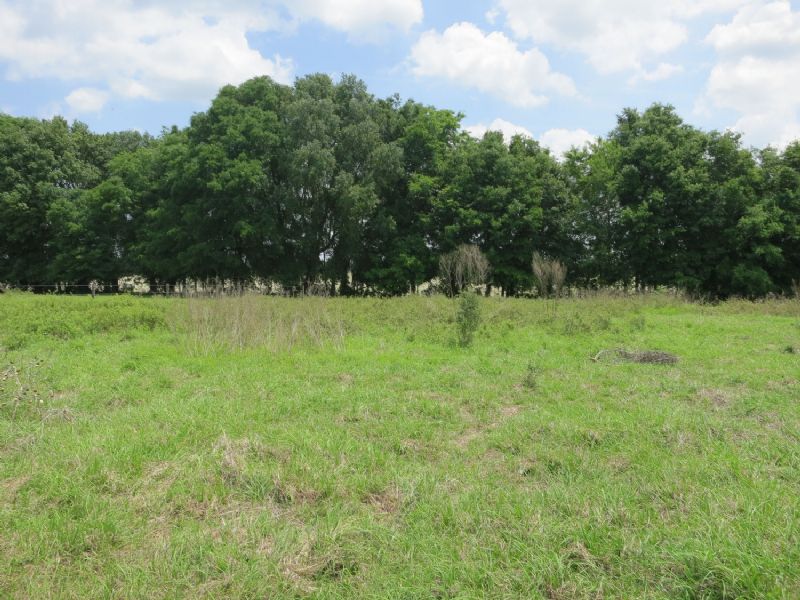Reduced 35.32ac - Pasture & Meadow : Newberry : Alachua County : Florida