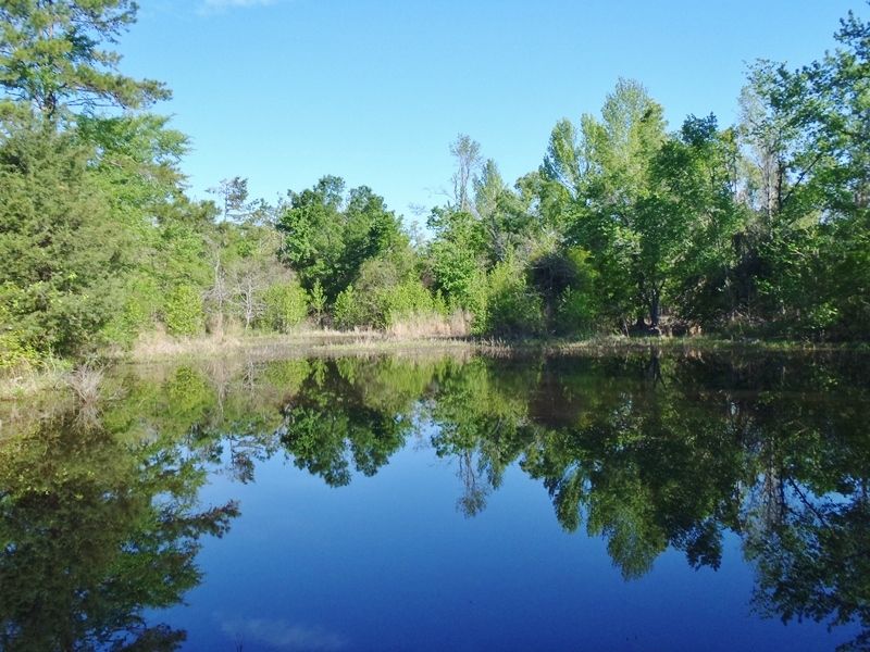 Hidden Pond : Rattan : Pushmataha County : Oklahoma