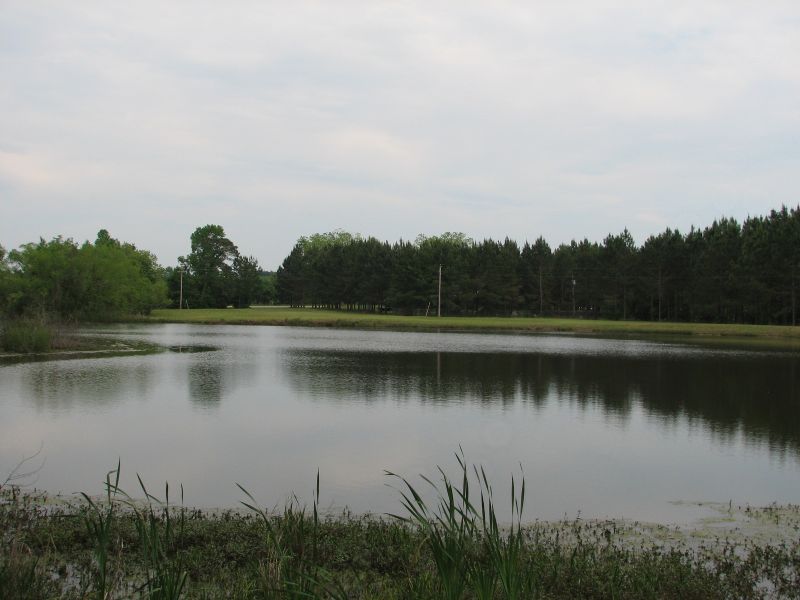 Country Living Close To Town : Statesboro : Bulloch County : Georgia