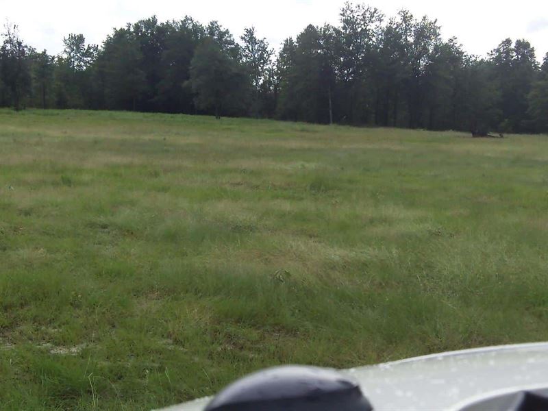 Green Grass Estates, 5.49 Acres : Tn : Coffee County : Tennessee