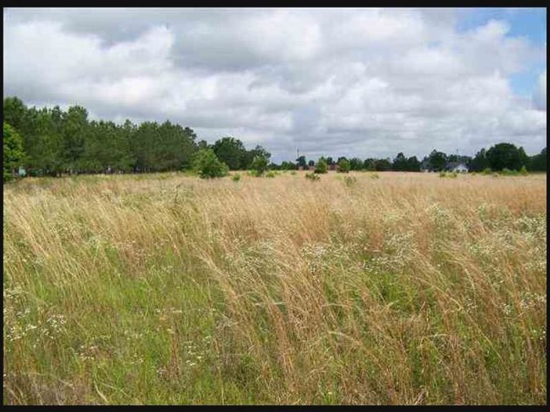 15.57 Acre Recreational Tract : Eastman : Dodge County : Georgia
