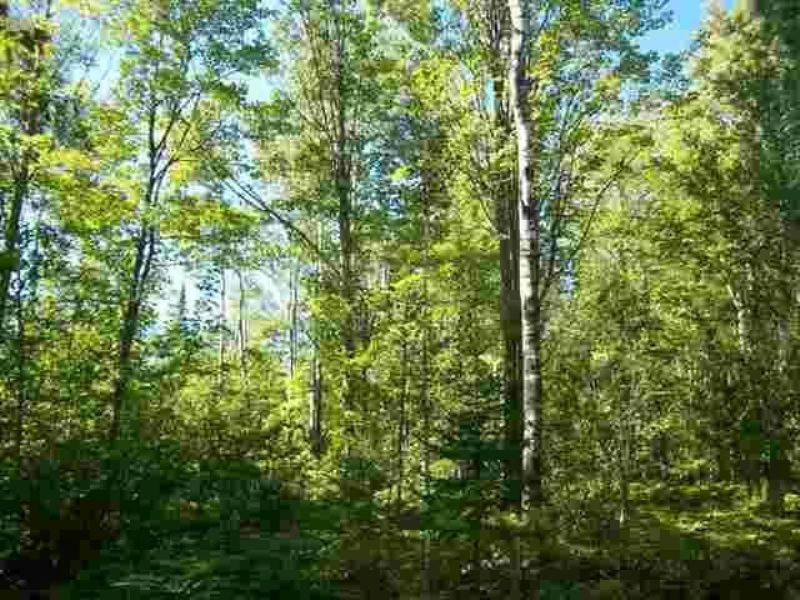 Tbd Karschney Rd, Mls 1089557 : L'Anse : Baraga County : Michigan