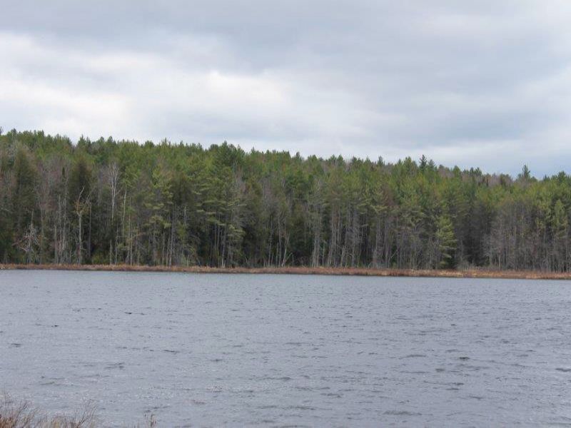 57 Adirondack Acres W/ Private Pond : Chester : Warren County : New York