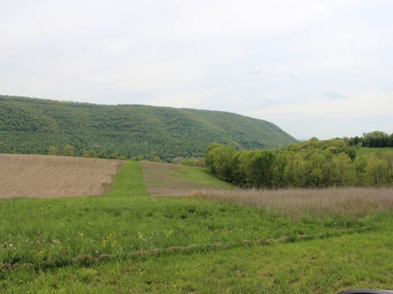 10.5 +/ Acres Of Land, Farm for Sale in Pennsylvania, 74819 FARMFLIP