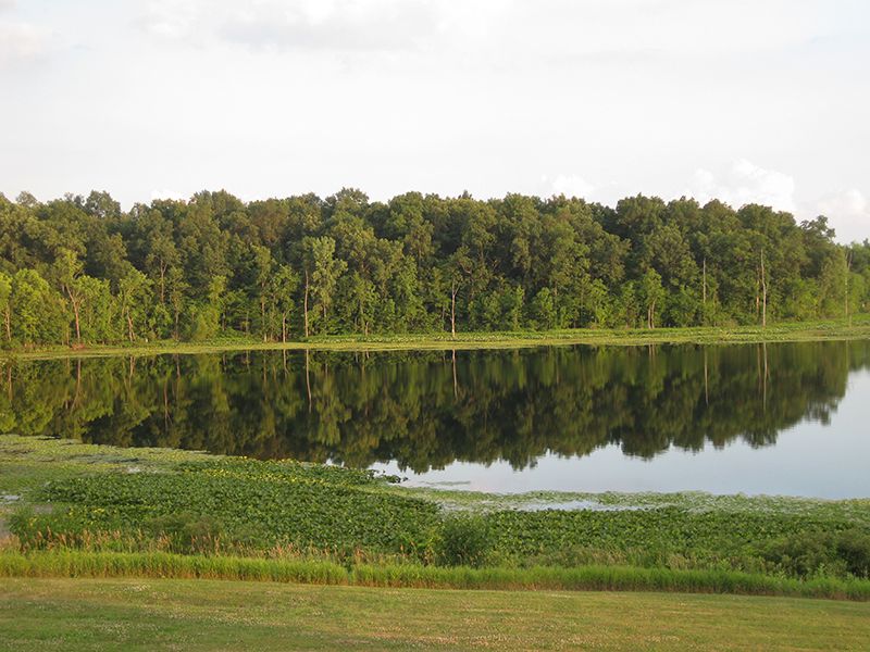 Real Estate Auction, 163 Acres, Farm Auction in Indiana, 74845 FARMFLIP